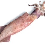 calamaro-mediterraneo