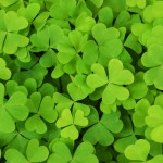 celtic-shamrock-background.jpg